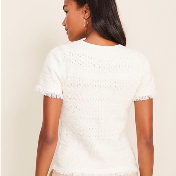 NWT Ann Taylor Petite Stitched Fringe Sweater - Picture 3 of 7